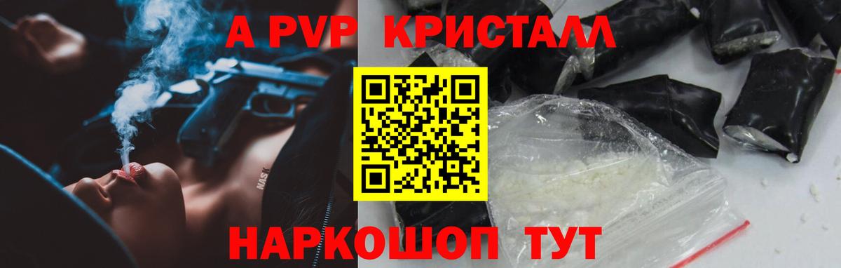 A PVP СК КРИС Сыктывкар