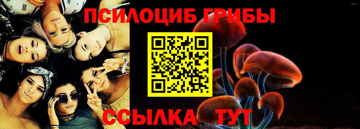 Сыктывкар  Псилоцибиновые грибы MAGIC MUSHROOMS  Вход с VPN  Галлюциногенные грибы мицелий 